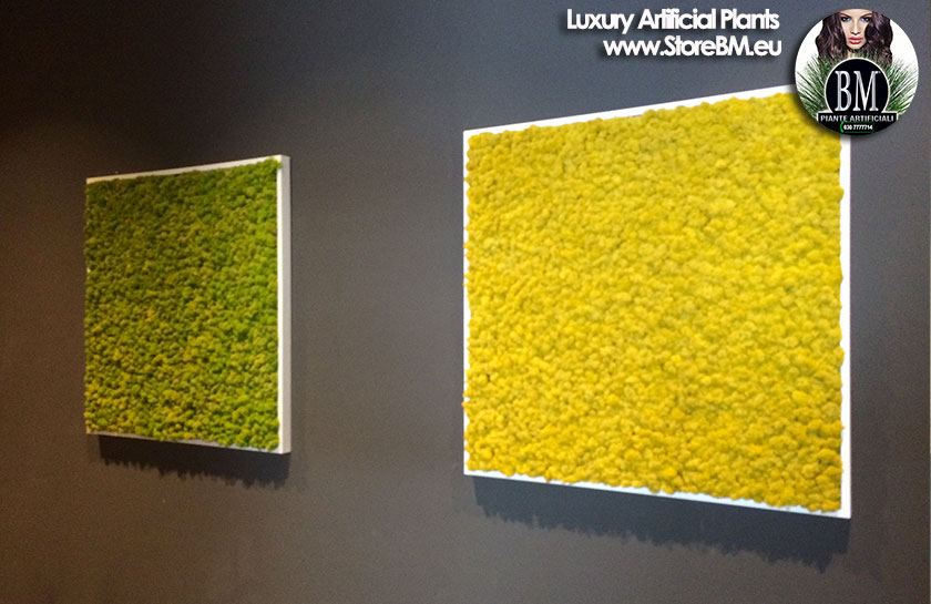 lichene-stabilizzato-bm-3