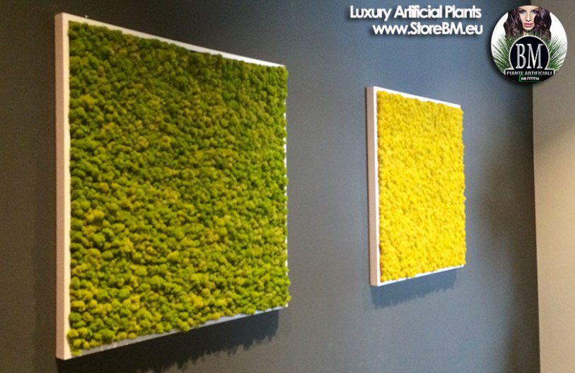 lichene-stabilizzato-bm-4