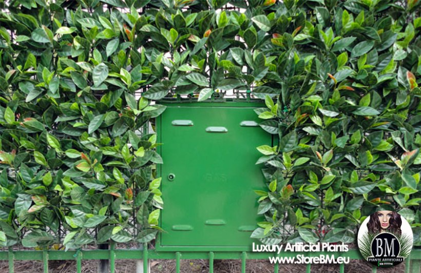 photinia-artificiale-finta