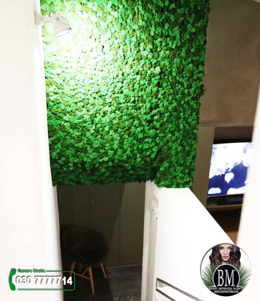 lichene-stabilizzato-bm-luxury-1