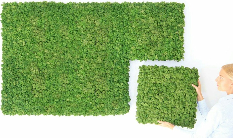 cc3826ccde35cb4e03af7ccc19b30e6d