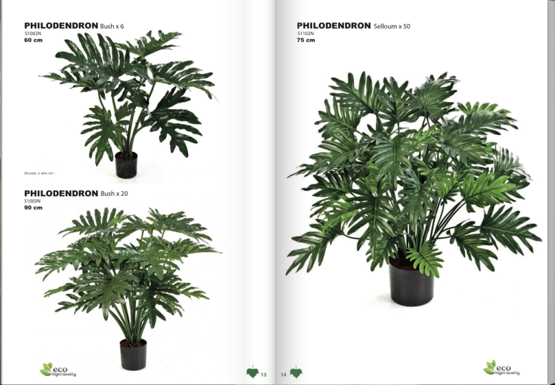 Schermata 2017-09-12 alle 08.09.53