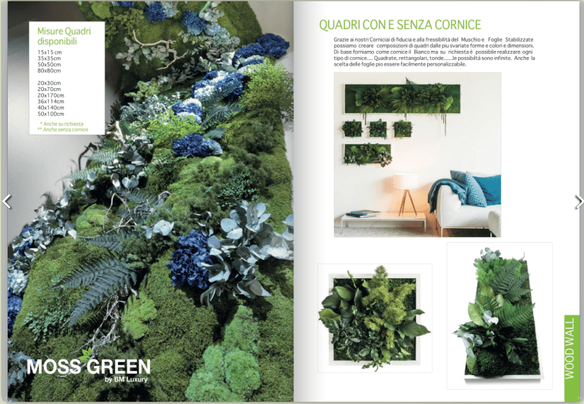 Schermata 2018-01-05 alle 14.11.54