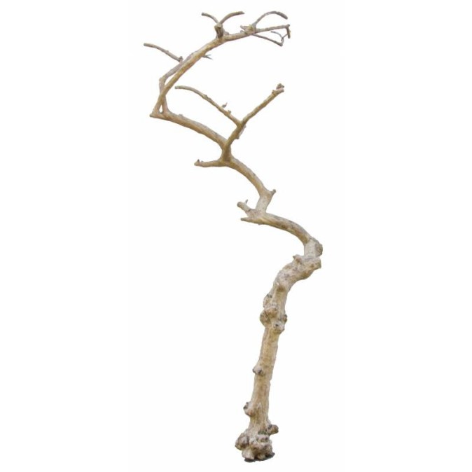 coffee-for-umbrella-x-h230-280