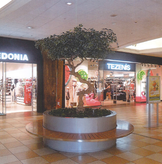 Schermata 2017-11-22 alle 19.00.15