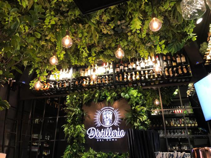 WhatsApp Image 2019-08-10 at 17.20.41