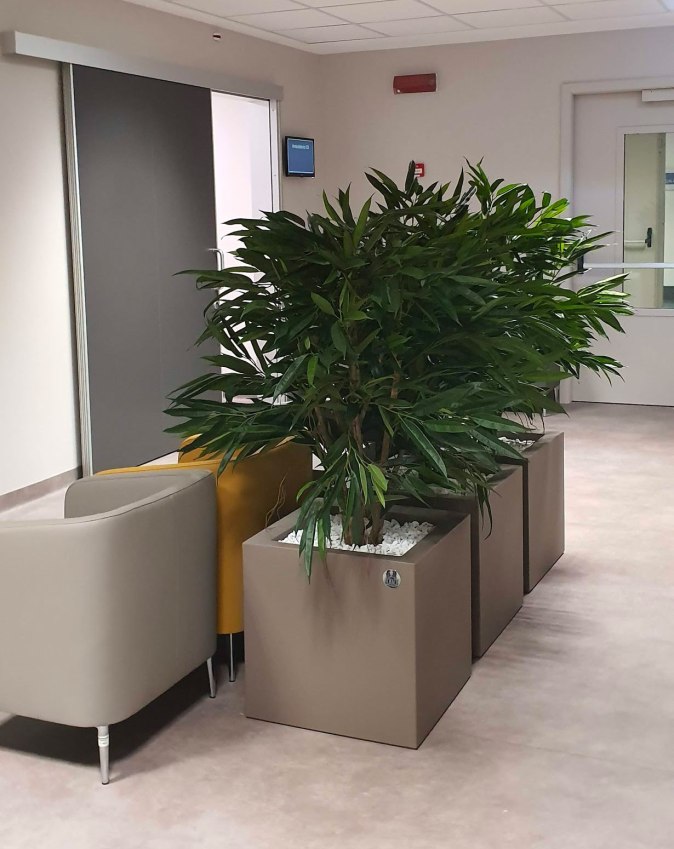 Piante-Artificiali-BM-Contract