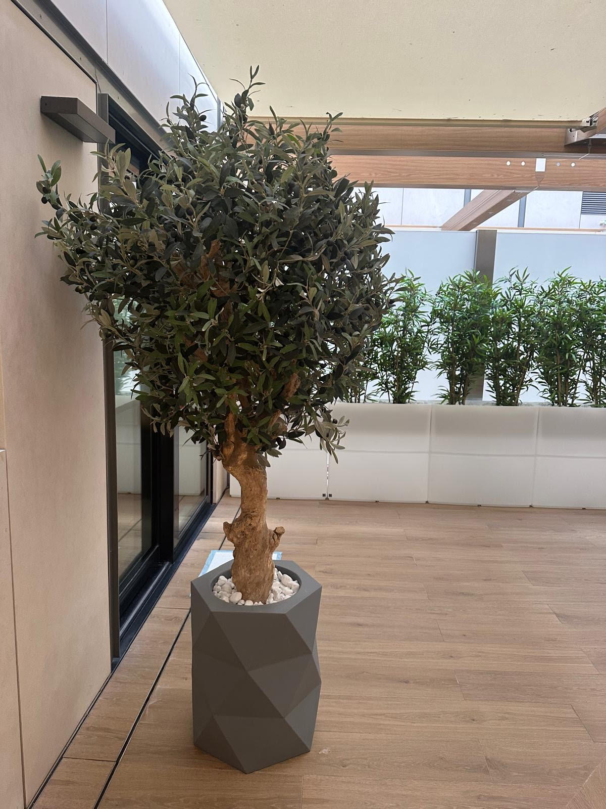 Ulivo artificiale come elemento di design