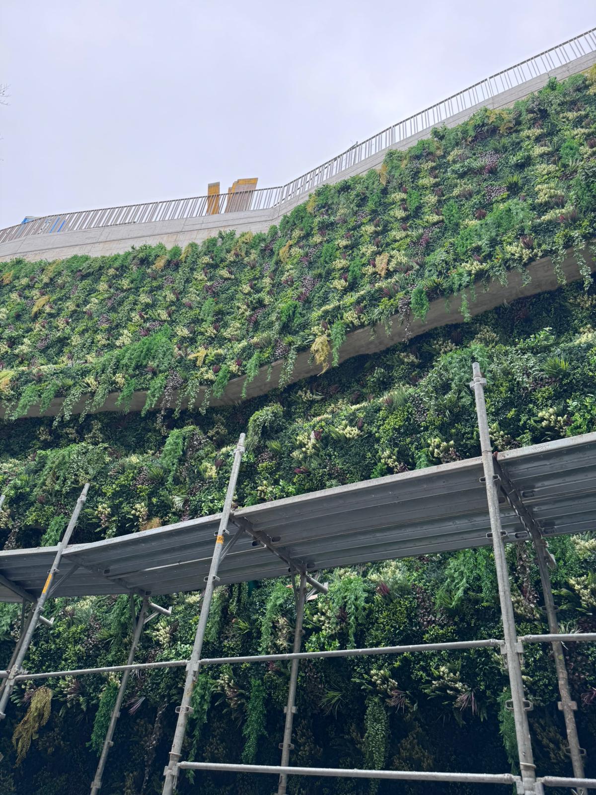 Parete verde come quadro vegetale