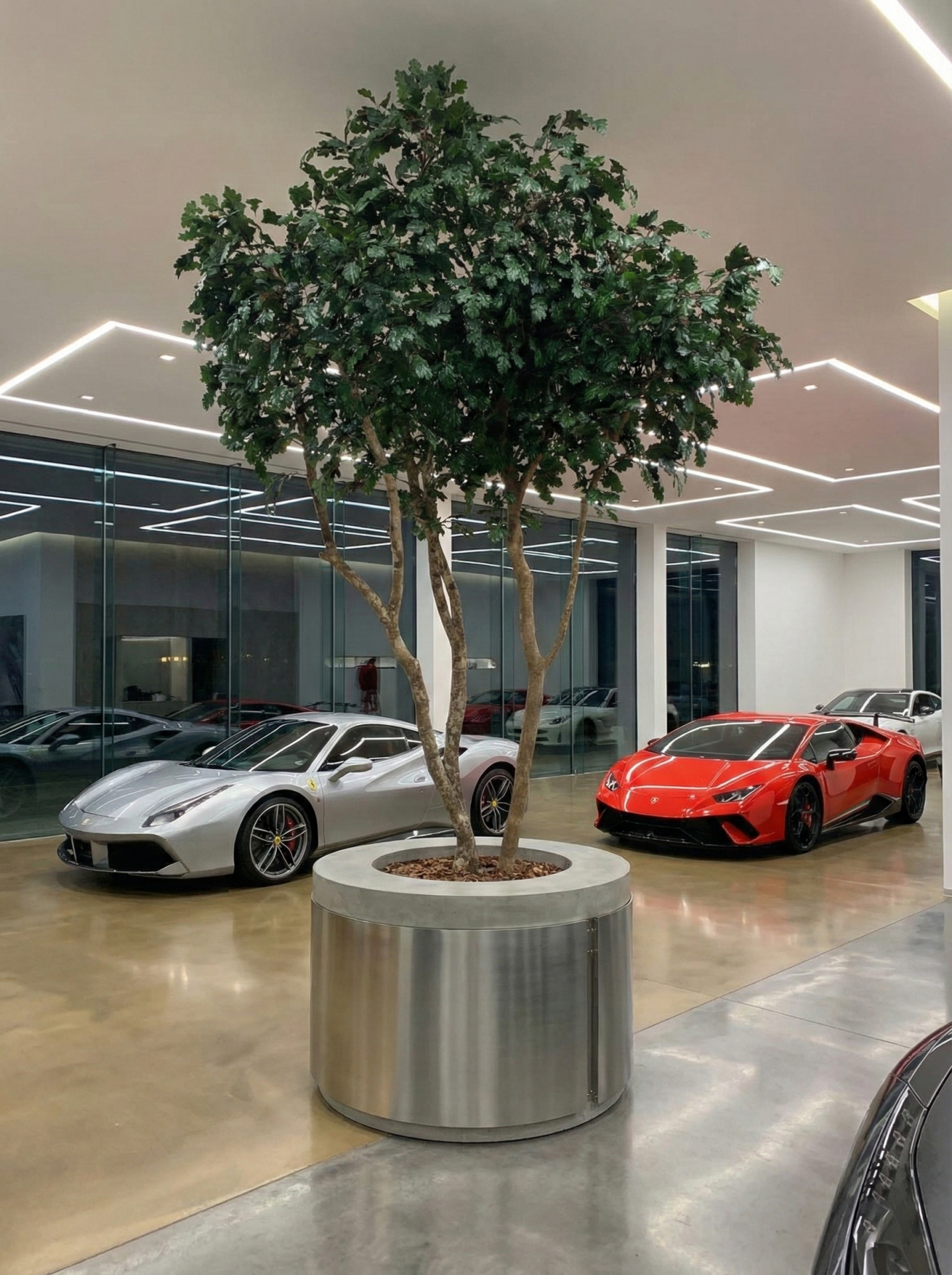 BM Luxury Showroom