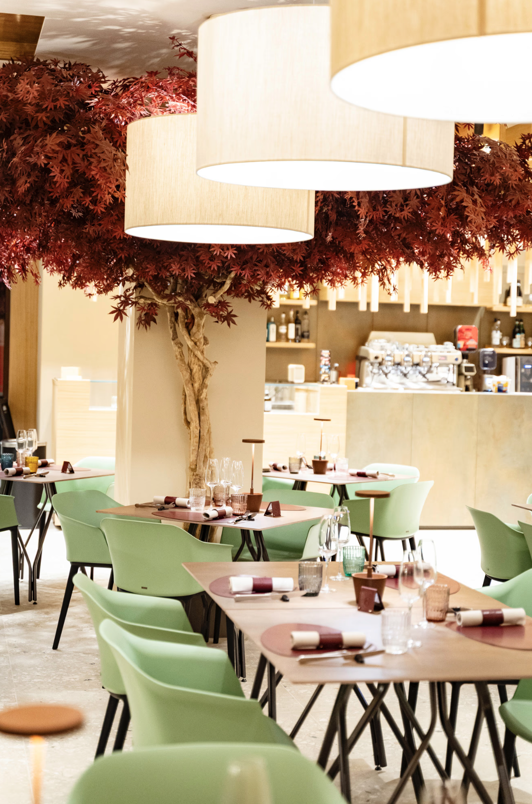 Albero di Acero al Ristorante Acero Rosso